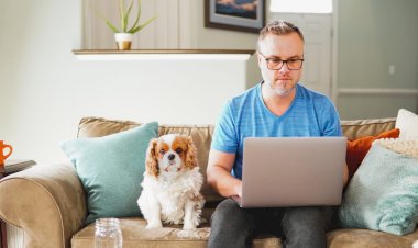 TOP TIPS FOR HOUSE HUNTING ONLINE